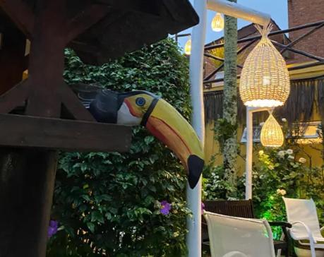 Canto Das Laranjeiras Moa Guaruja Bagian luar foto